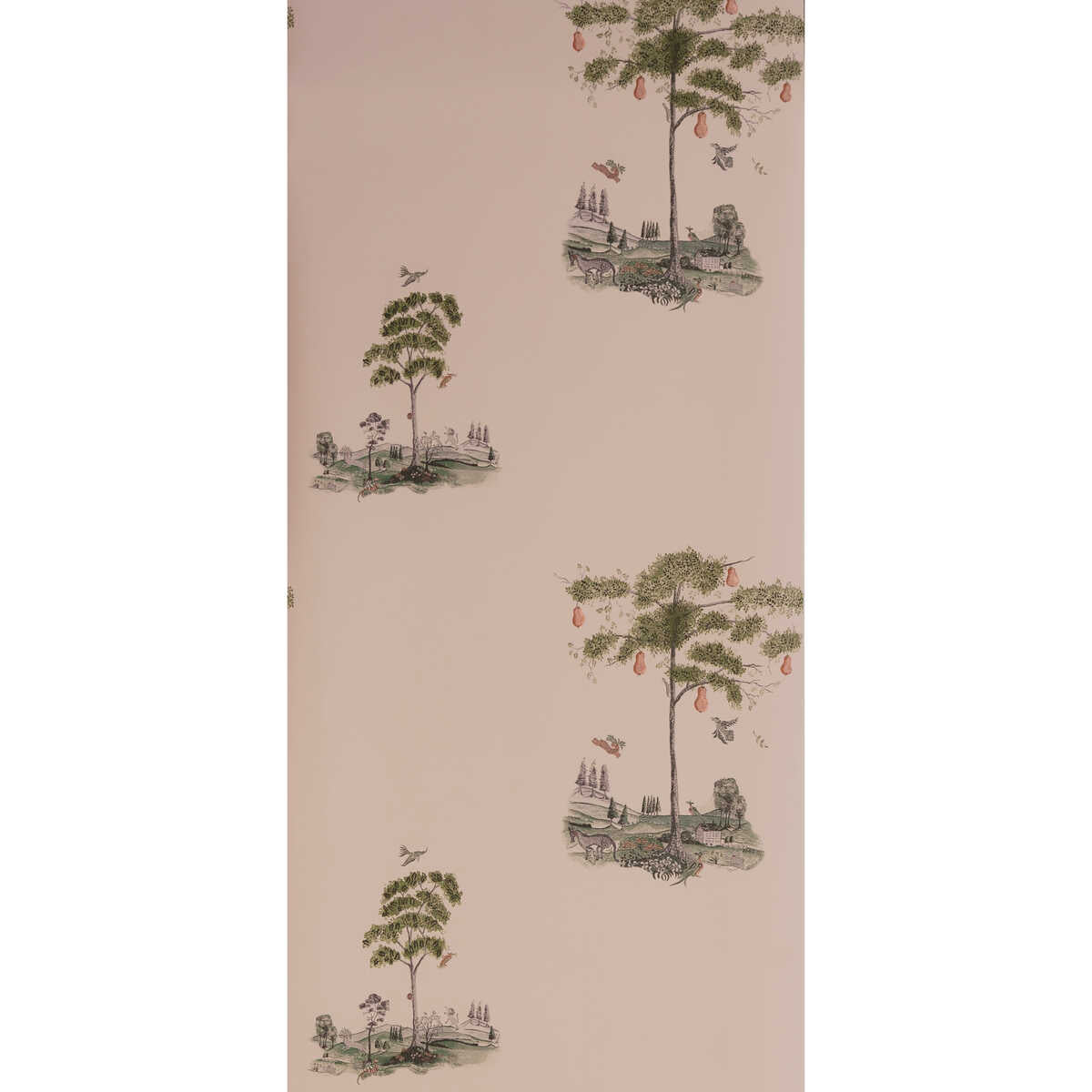 Pear Tree - Plaster