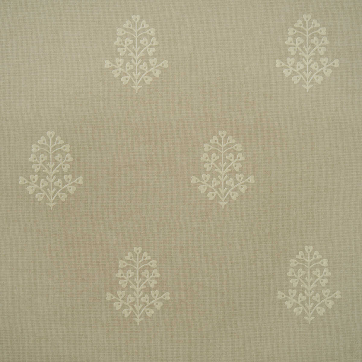 Cow Parsley - Stone - KRAVET COUTURE Wallpaper