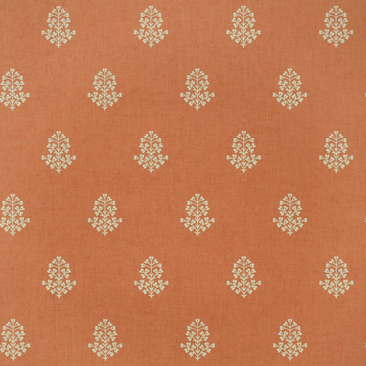 Cow Parsley - Clementine - KRAVET COUTURE Wallpaper