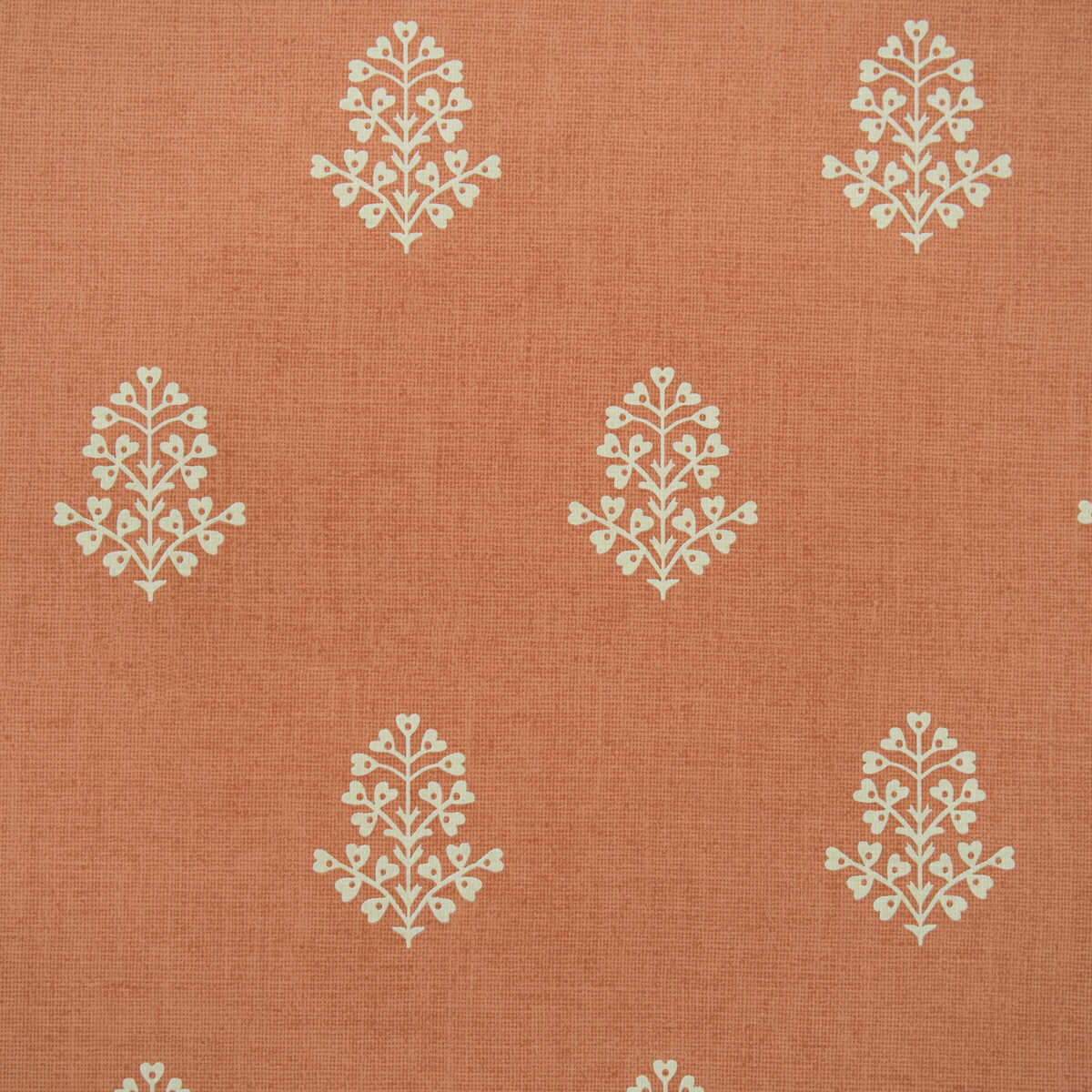Cow Parsley - Clementine - KRAVET COUTURE Wallpaper