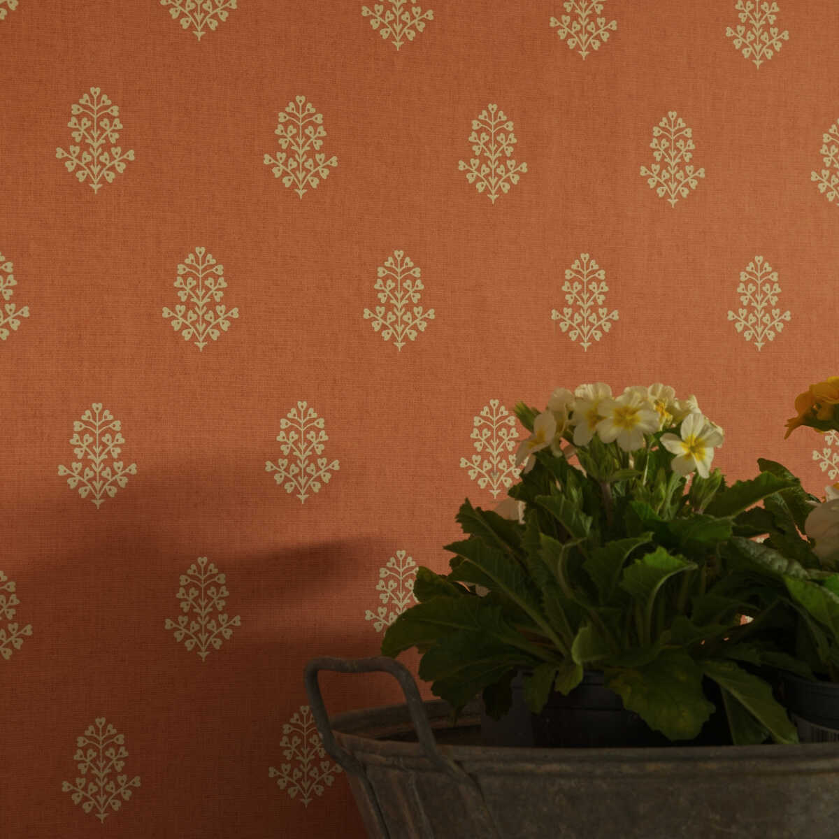 Cow Parsley - Clementine - KRAVET COUTURE Wallpaper