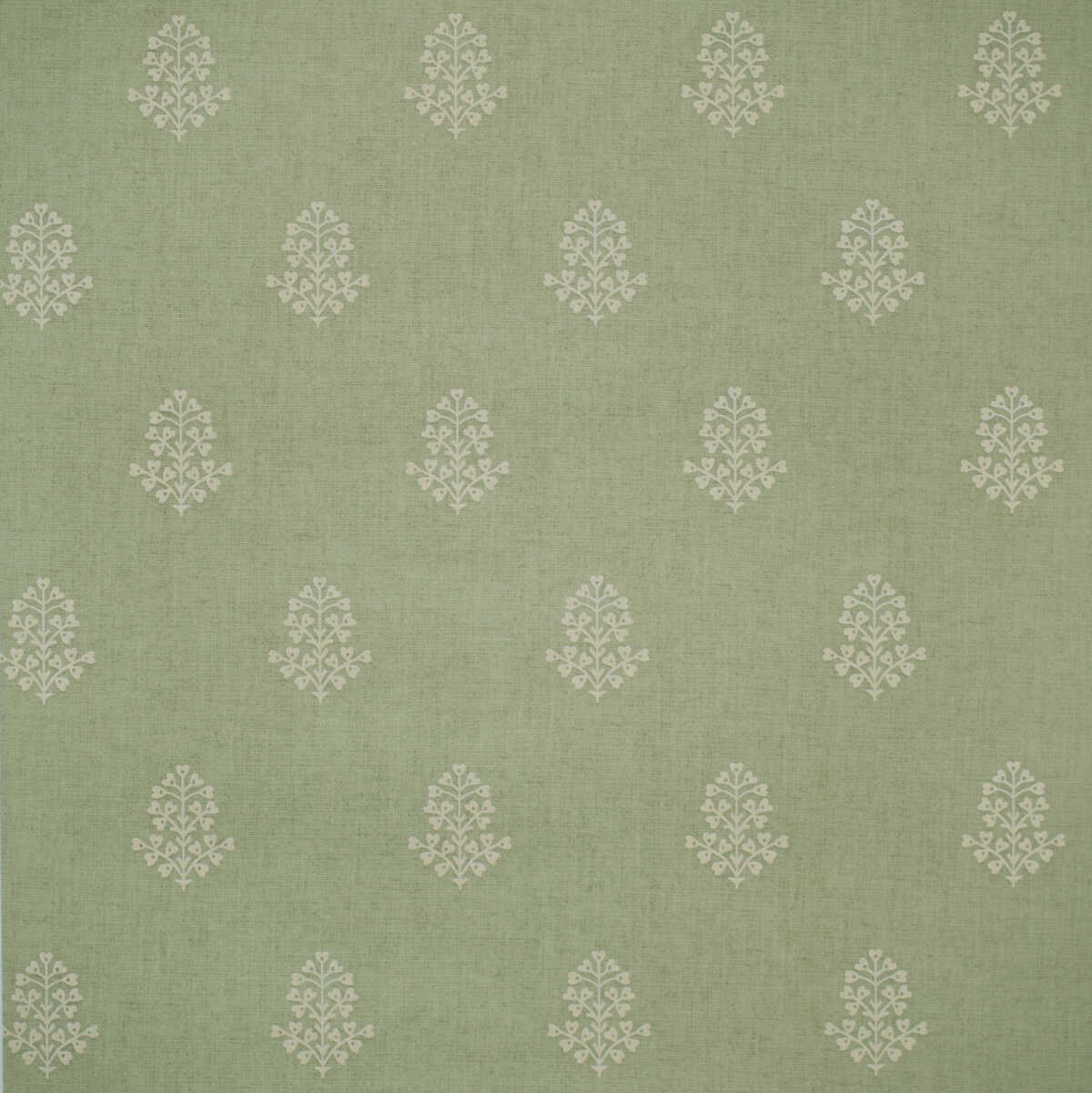 Cow Parsley - Leaf - KRAVET COUTURE Wallpaper