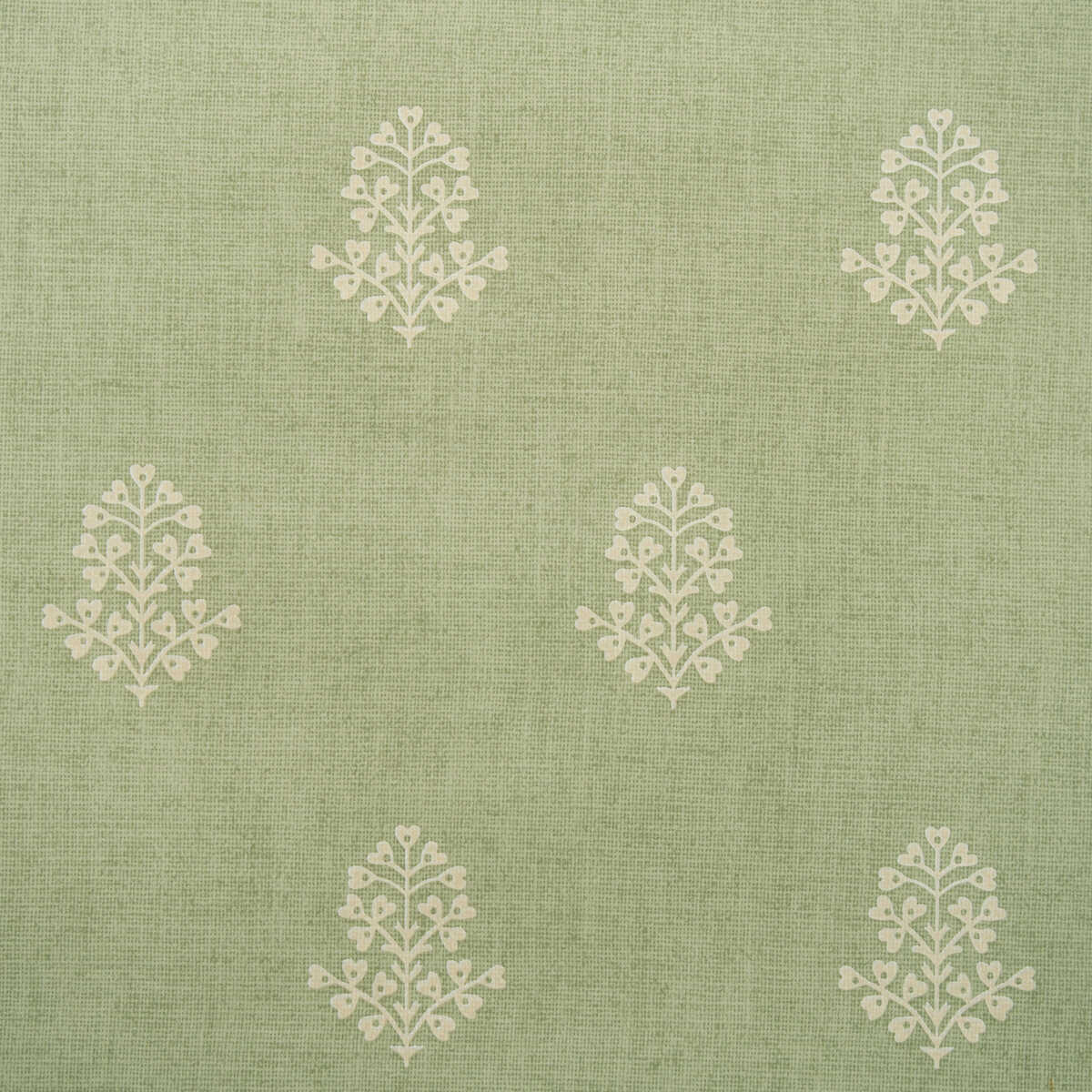 Cow Parsley - Leaf - KRAVET COUTURE Wallpaper