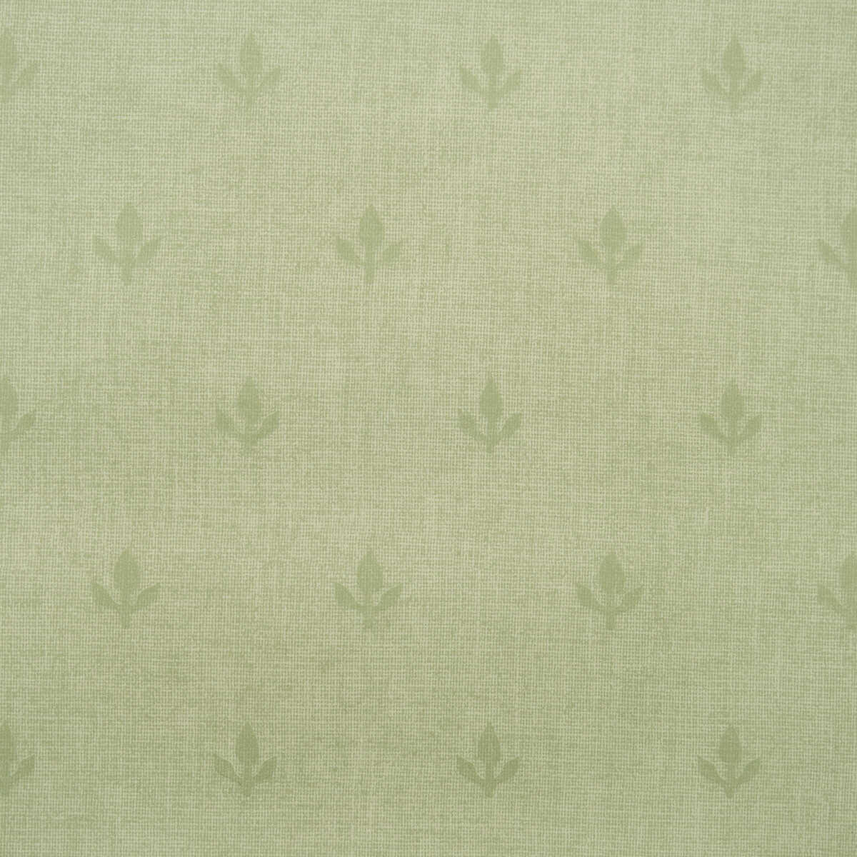 Crocus - Leaf - KRAVET COUTURE Papel pintado
