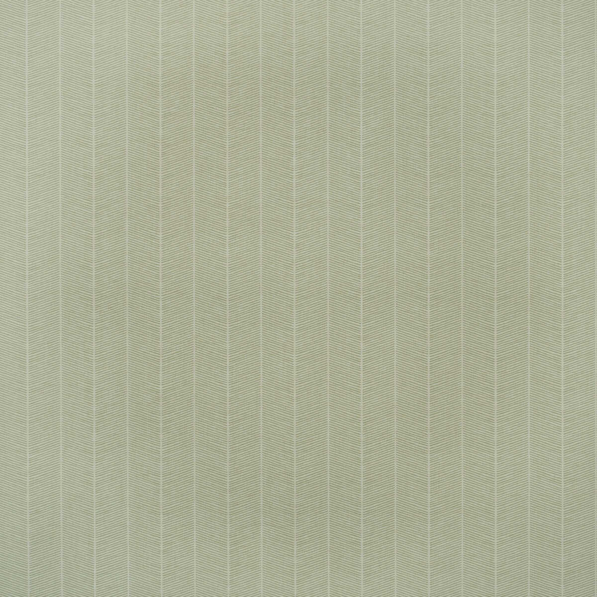 Hornbeam - Leaf - KRAVET COUTURE Papel pintado