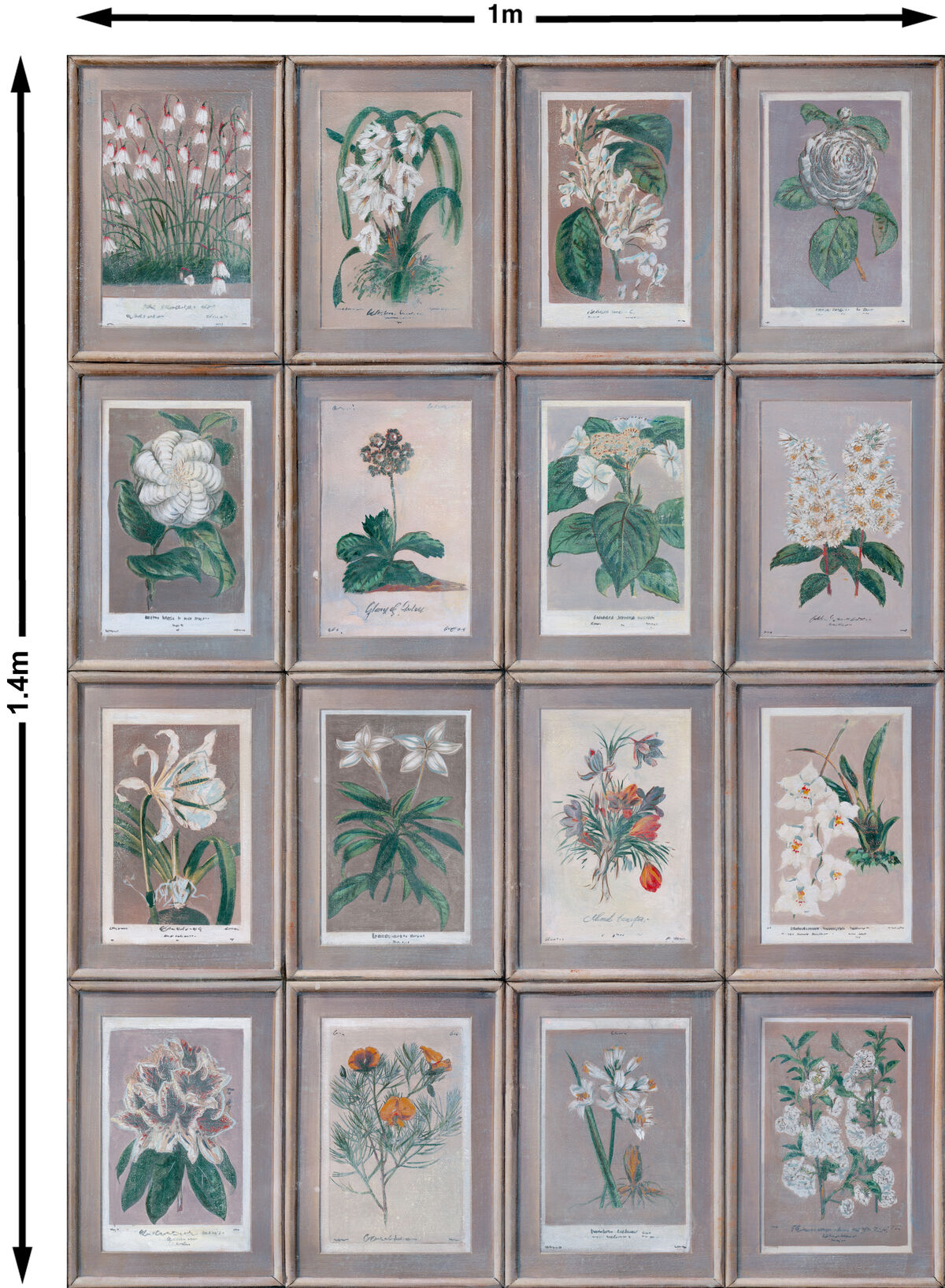 Floral - Slate - Kravet Couture Wallpaper