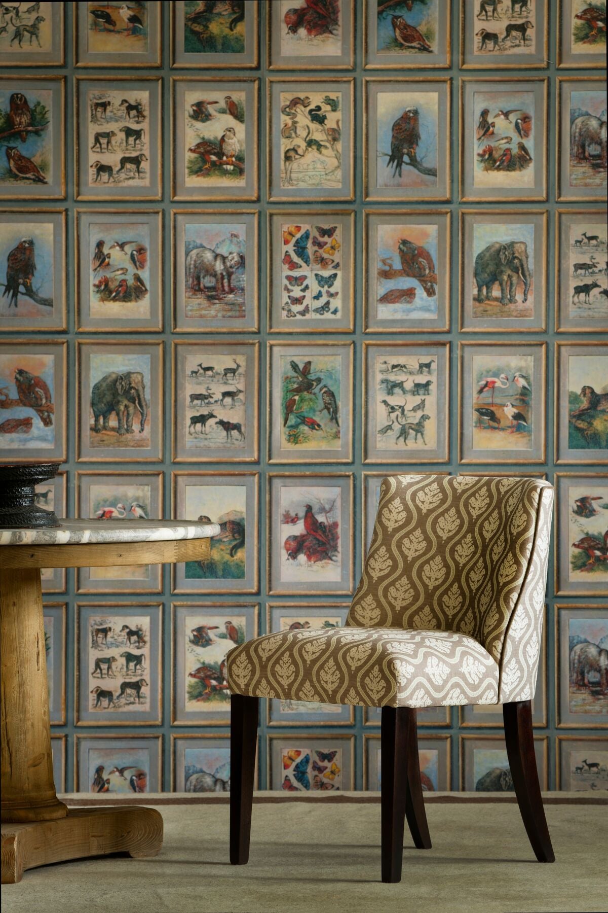 Zoology - Neutral - Kravet Couture Wallpaper