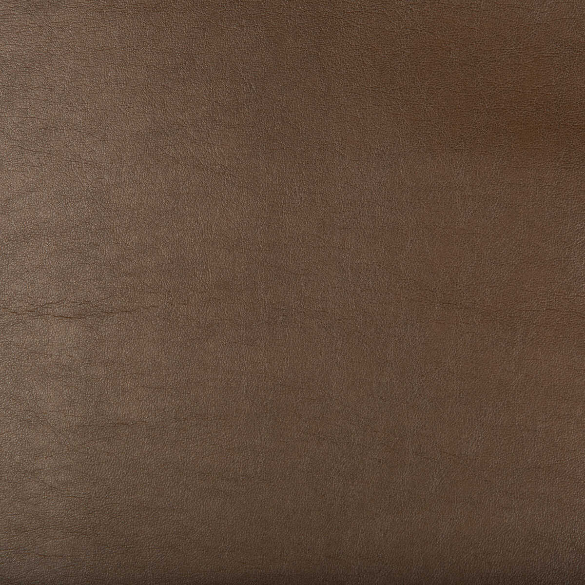 Kravet Design - Aristides-66