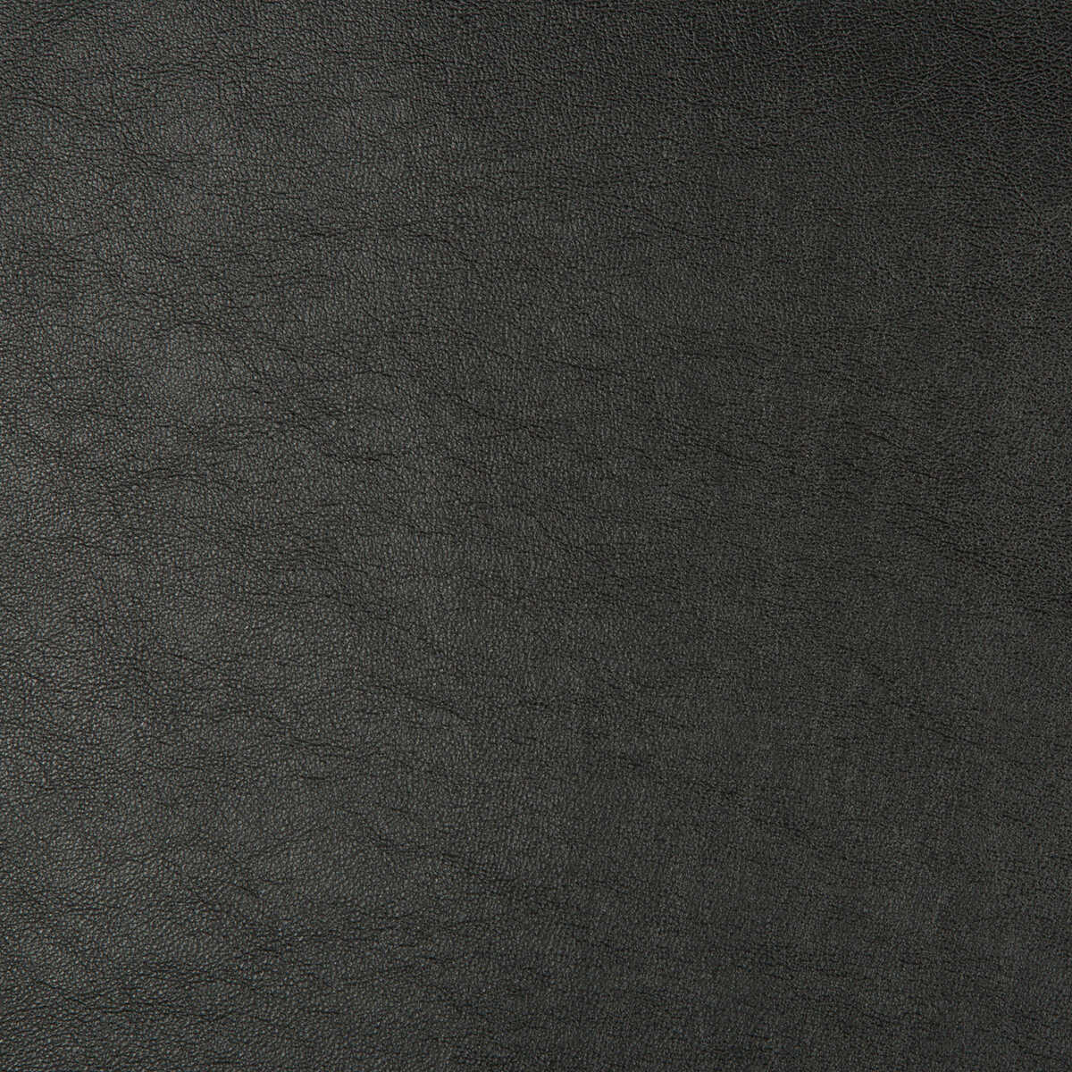 Kravet Design - Aristides-8