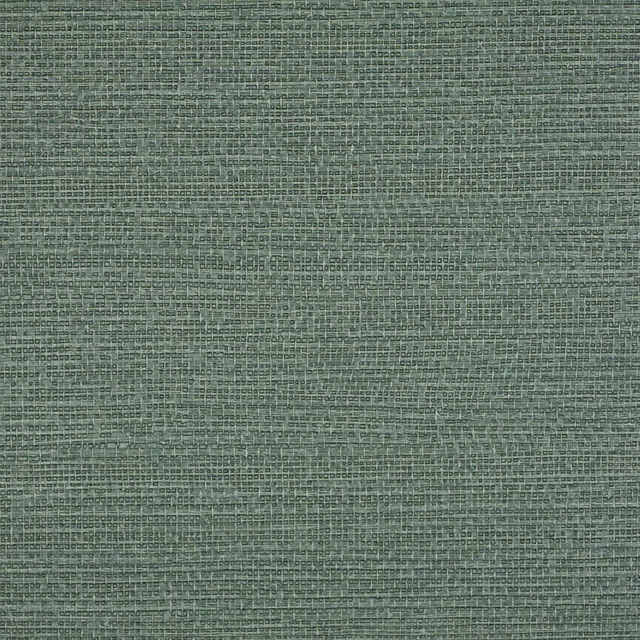 arpora-arp-029-succulent-innovations