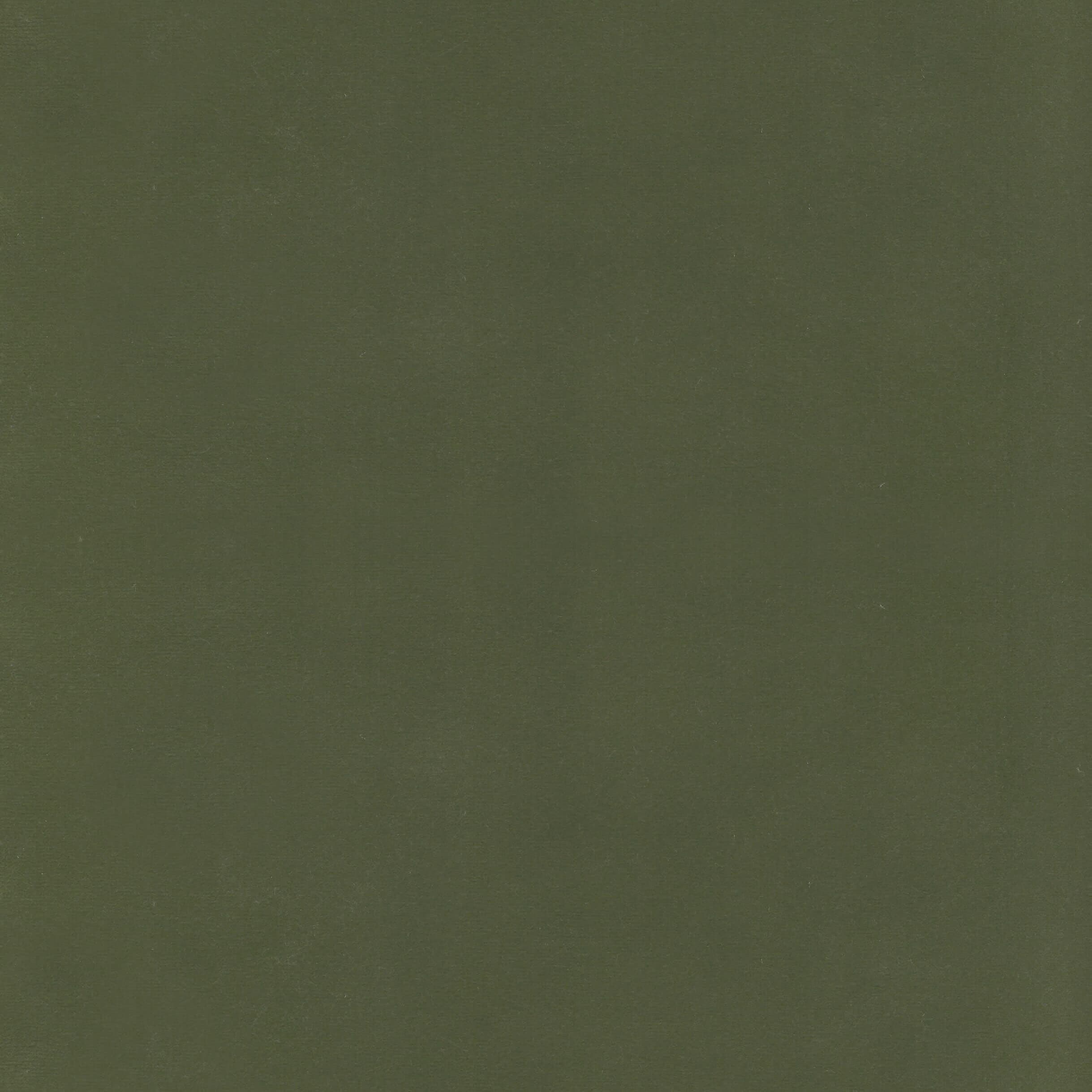 Beechwood 11 Olive by Stout Fabric
