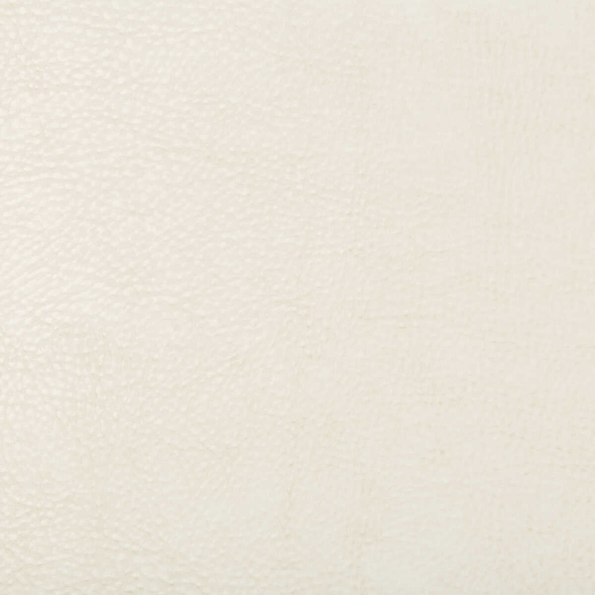 Kravet Design - Beholder-1 - KRAVET DESIGN Fabric