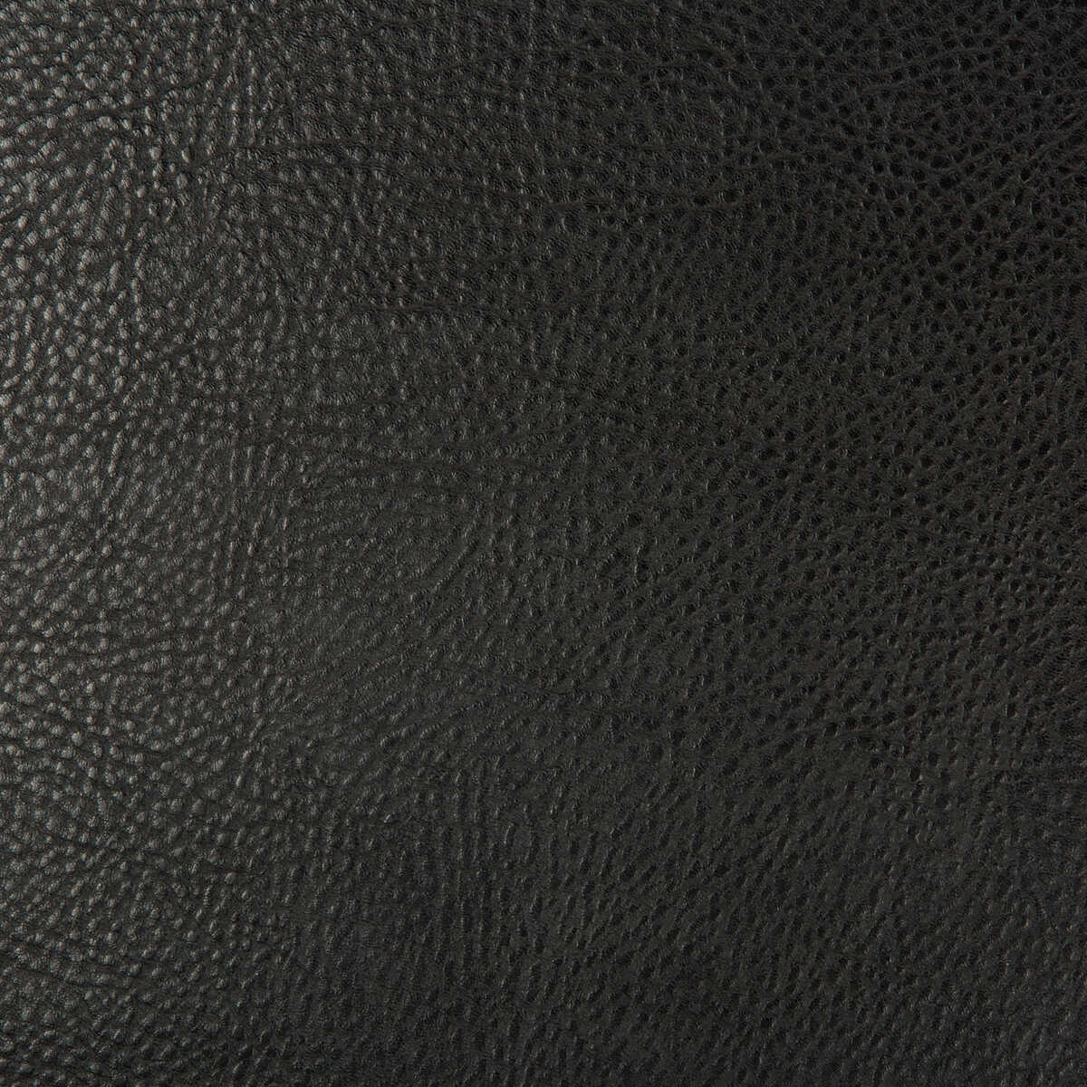 Kravet Design - Beholder-8