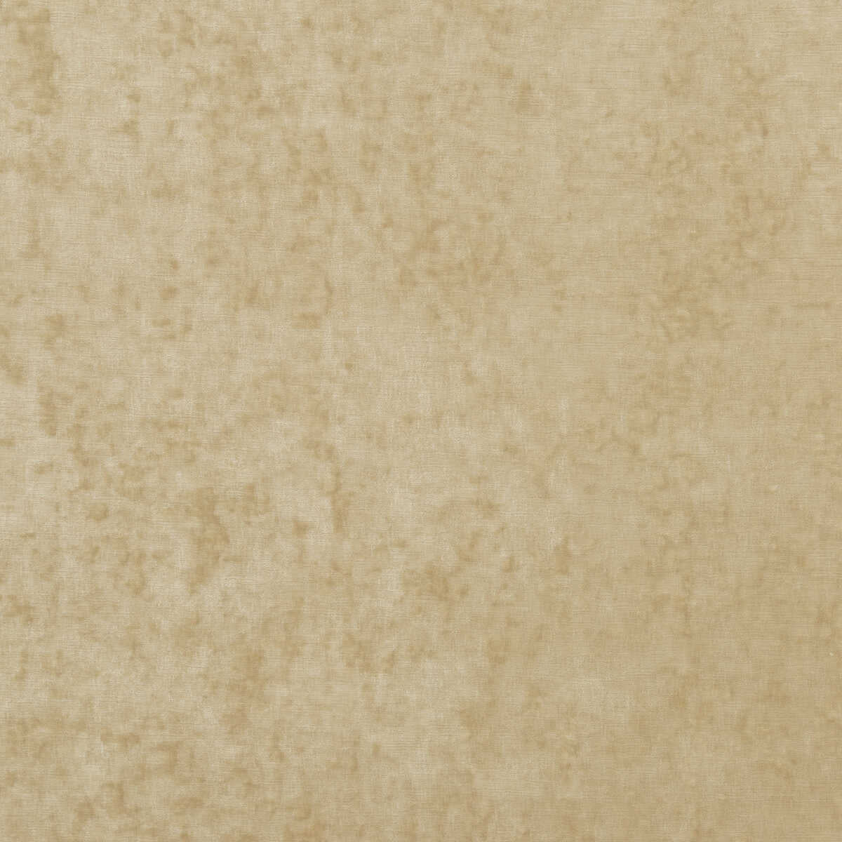 Vintage Velvet - Oyster - G P & J BAKER Fabric