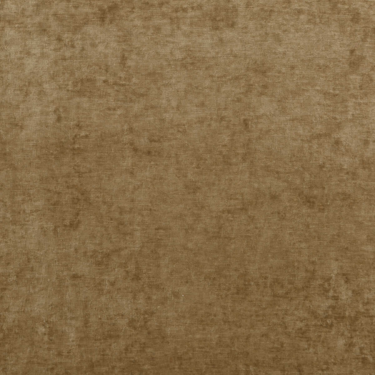 Vintage Velvet - Camel - G P & J BAKER Fabric