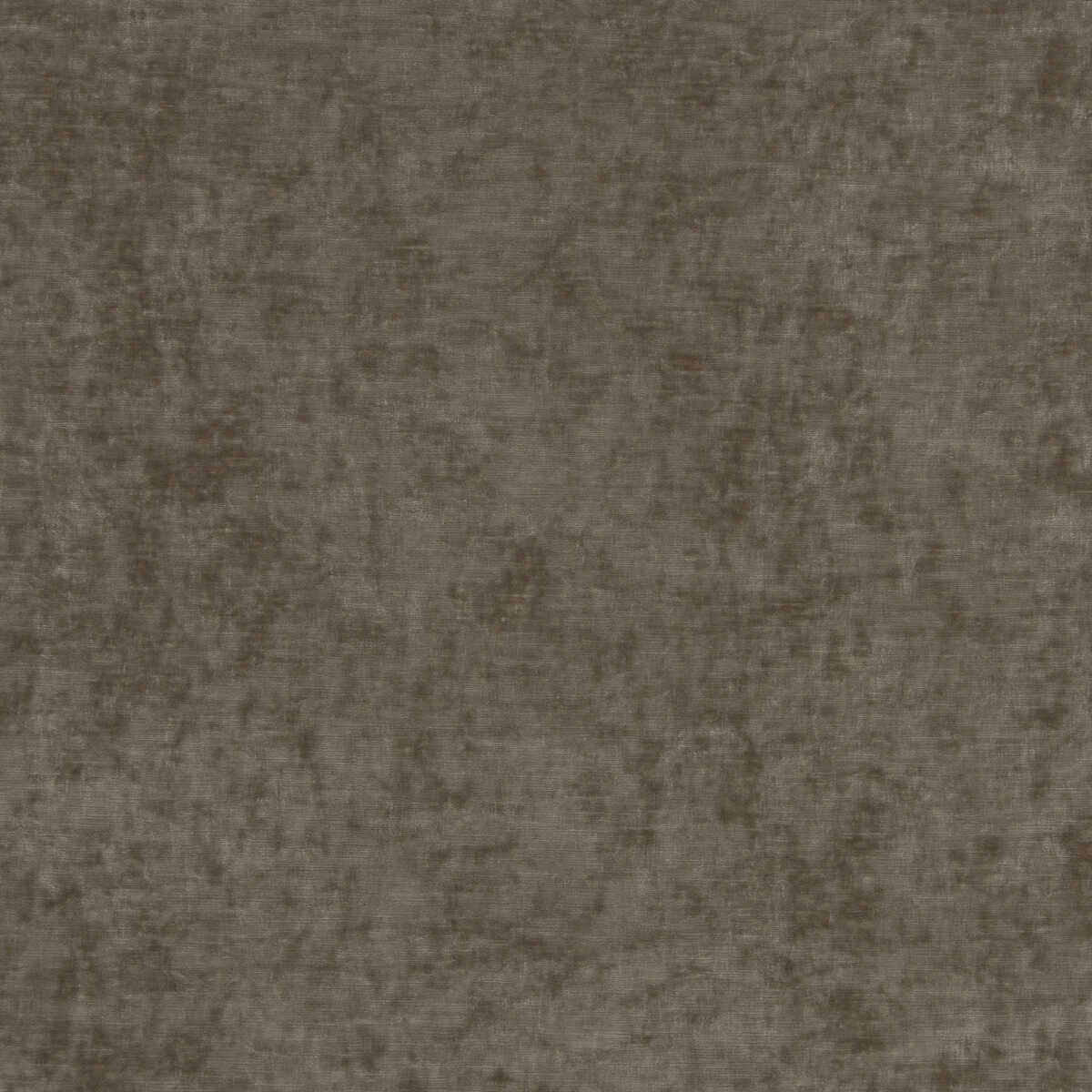 Vintage Velvet - Mink - G P & J BAKER Fabric