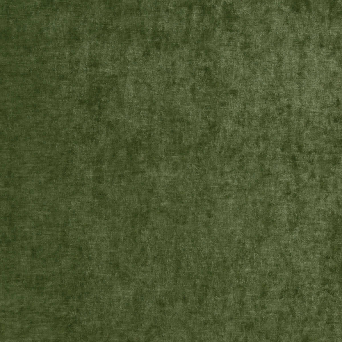 Vintage Velvet - Fern - G P & J BAKER Fabric