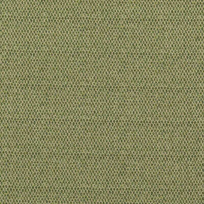 Pednor - Green - G P & J BAKER Fabric
