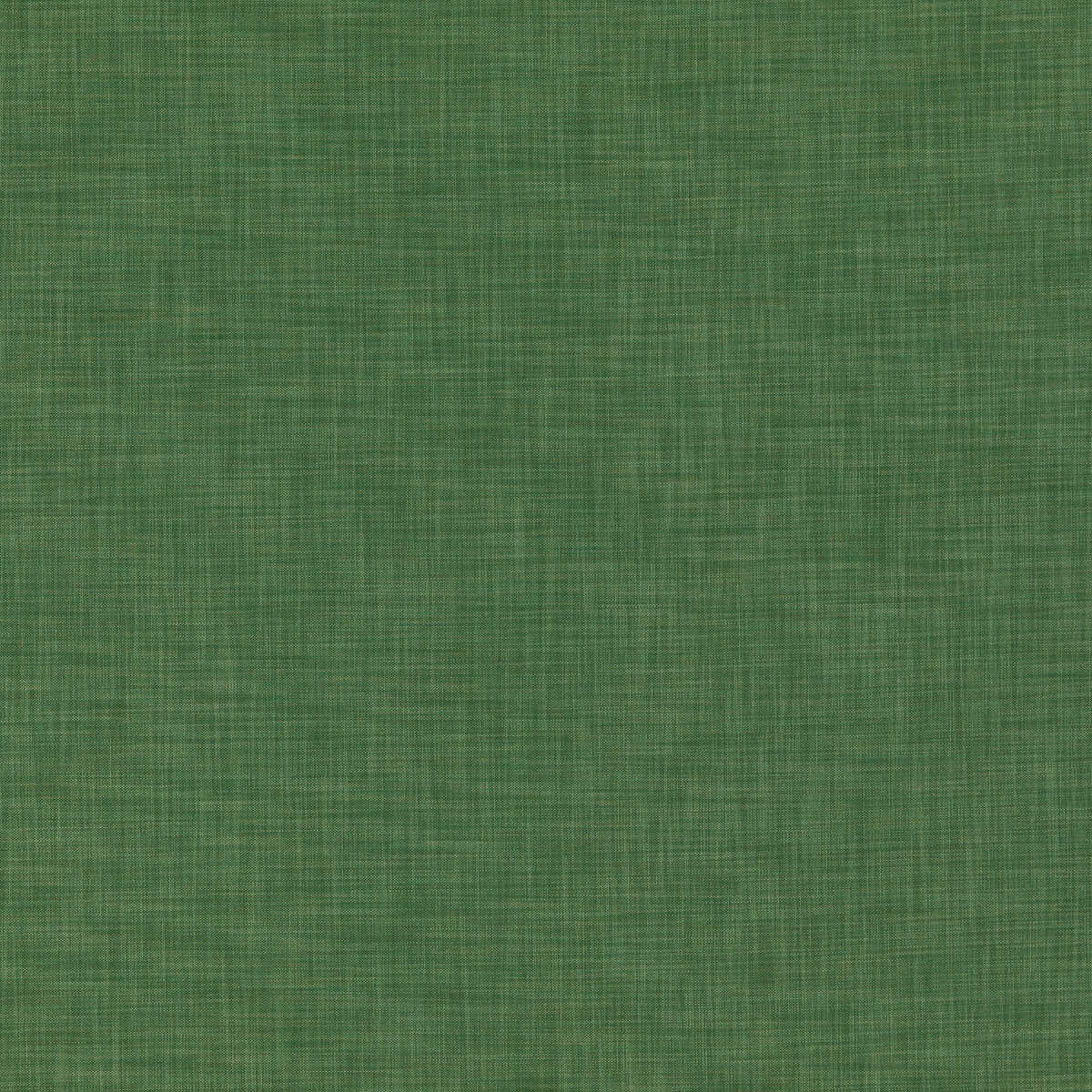 Kalahari - Green - THREADS Tela