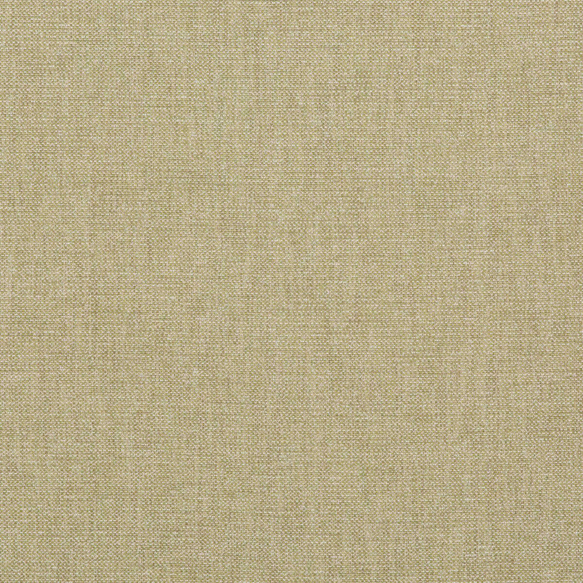 Pentridge - Leaf - G P & J BAKER Fabric