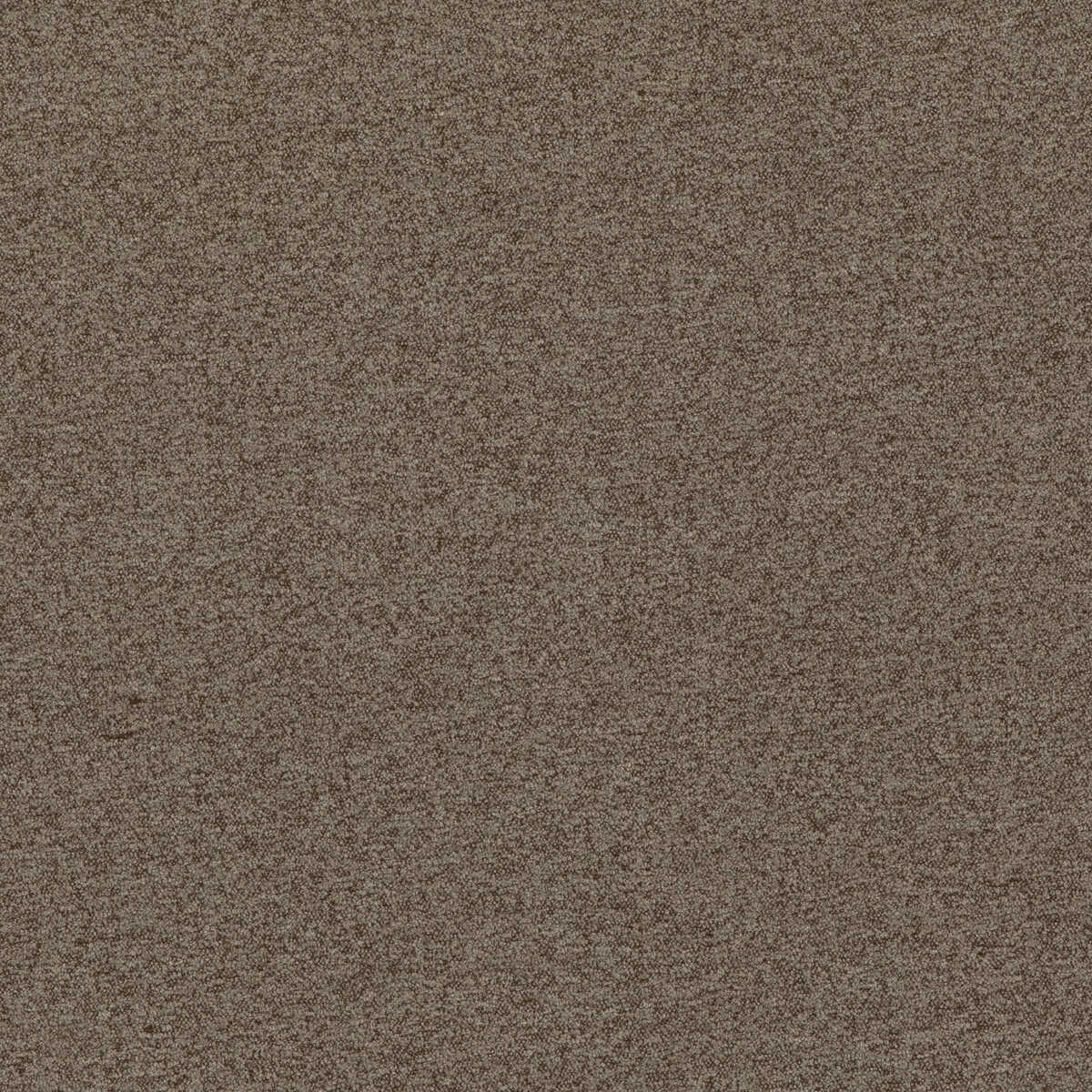 Baker House Boucle - Taupe