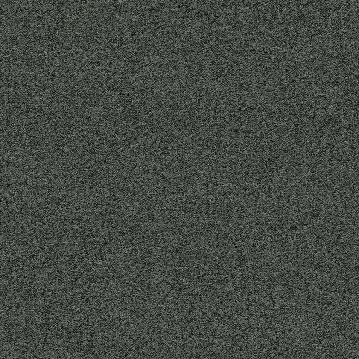 Baker House Boucle - Marine - G P & J BAKER Fabric