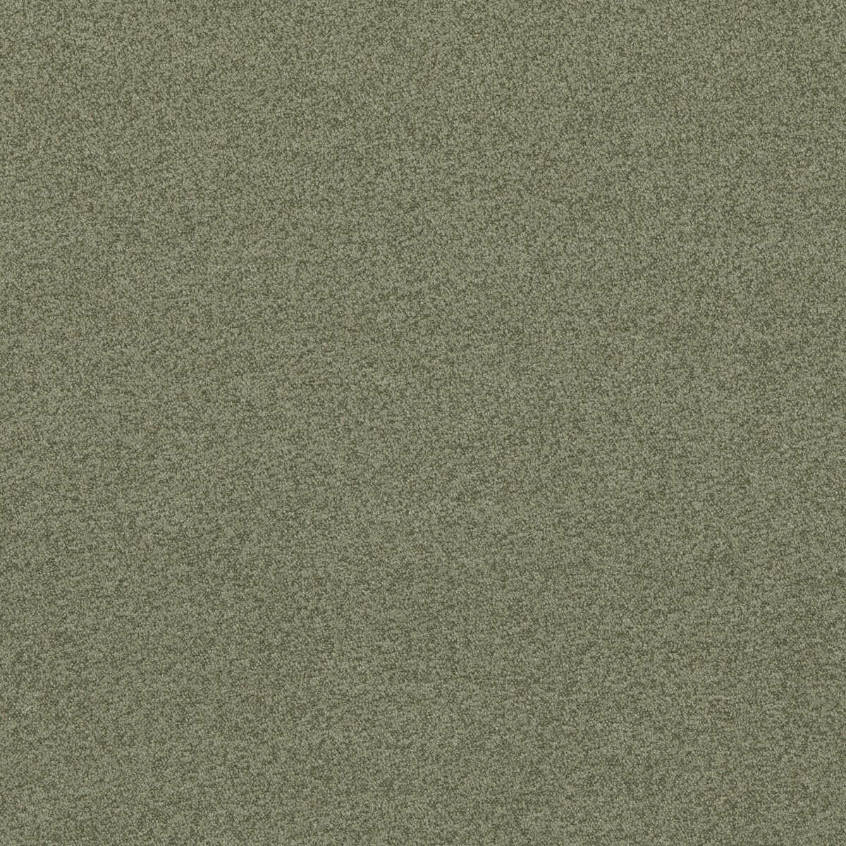 Baker House Boucle - Sage - G P & J BAKER Fabric