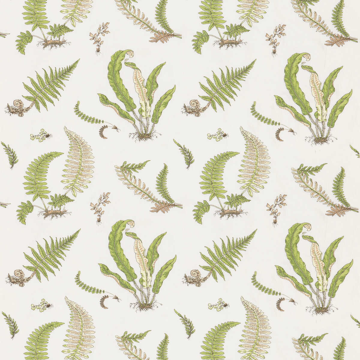 Ferns Embroidery - Green - G P & J BAKER Fabric