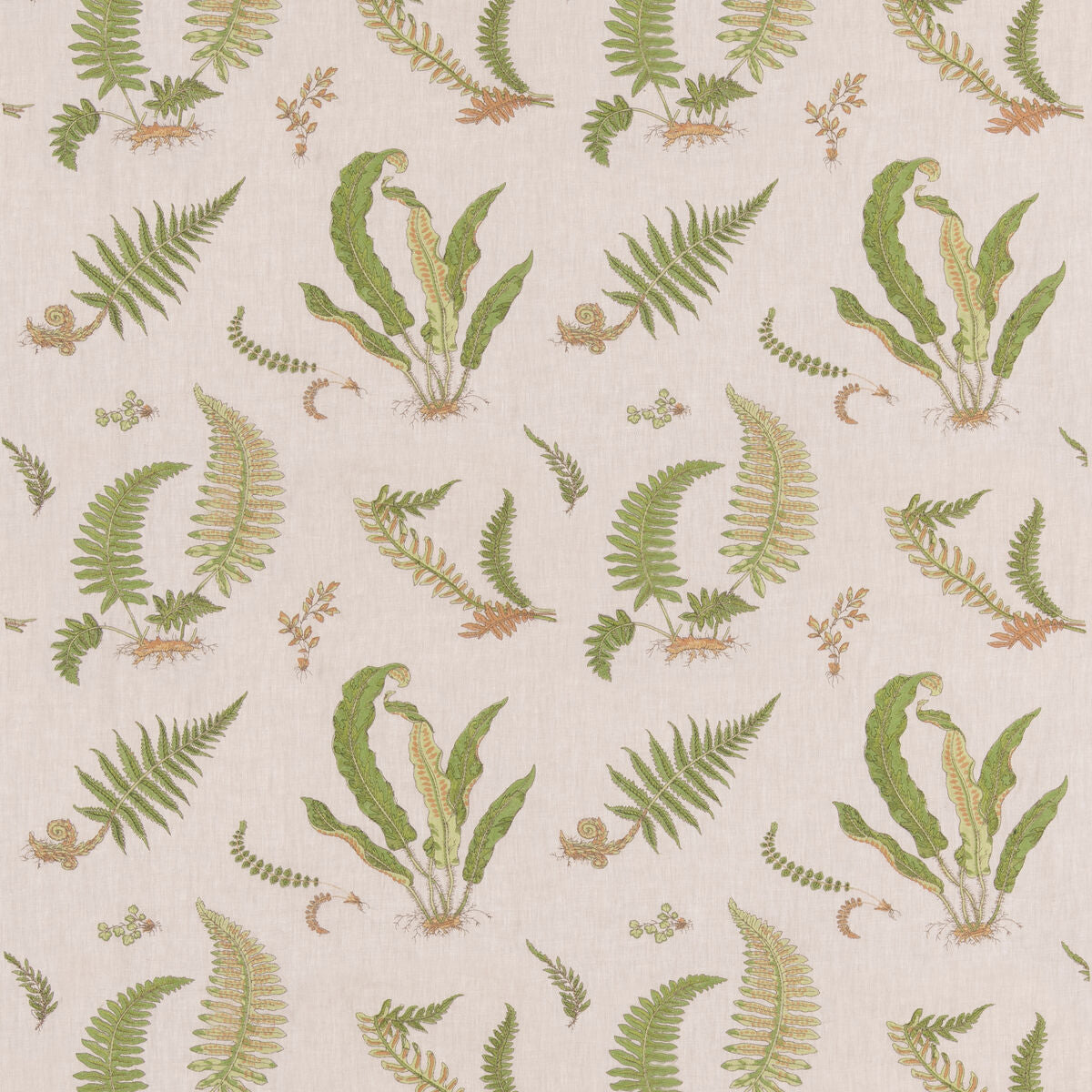 Ferns Embroidery - Green/Natural - G P & J Baker Fabric