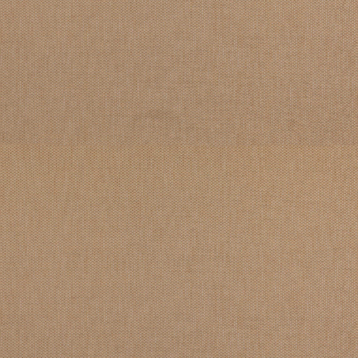 Burford Weave - Sand - G P & J BAKER Fabric