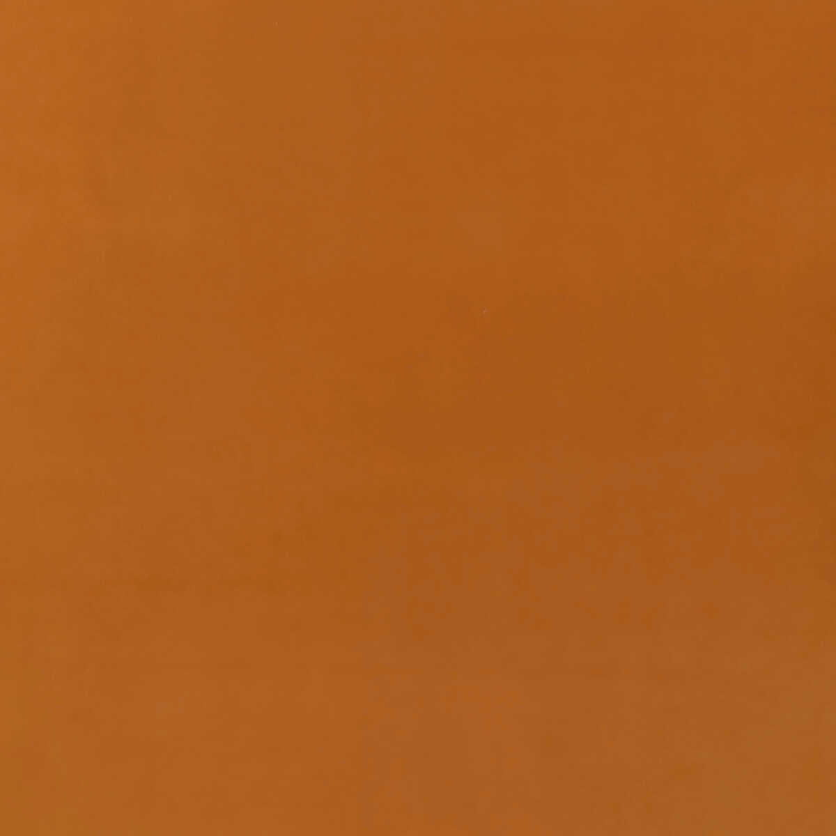 Baker House Fr Velvet - Tan - G P & J BAKER Fabric