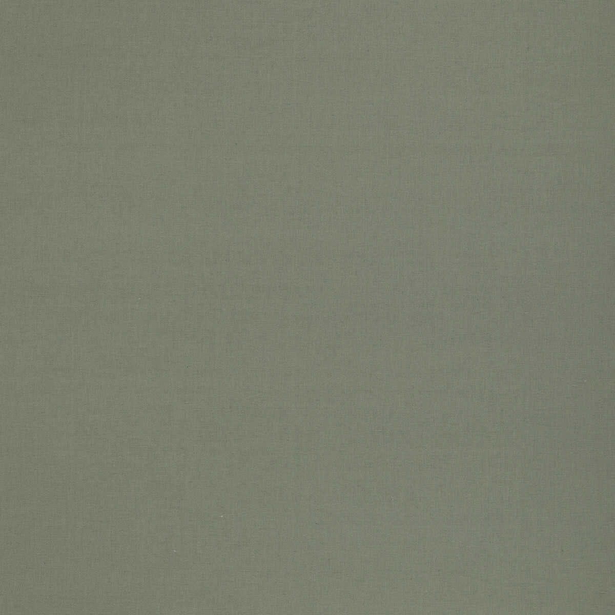 Kemble - Fern - G P & J BAKER Fabric