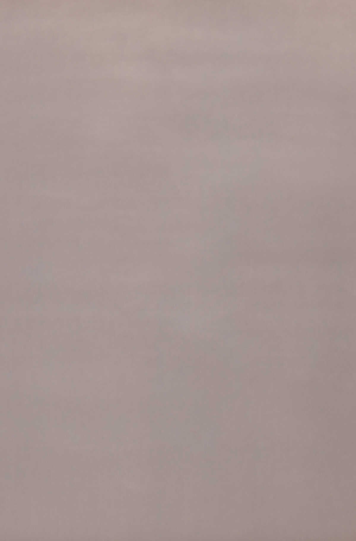 Court Vevet - Pearl - G P & J BAKER Fabric