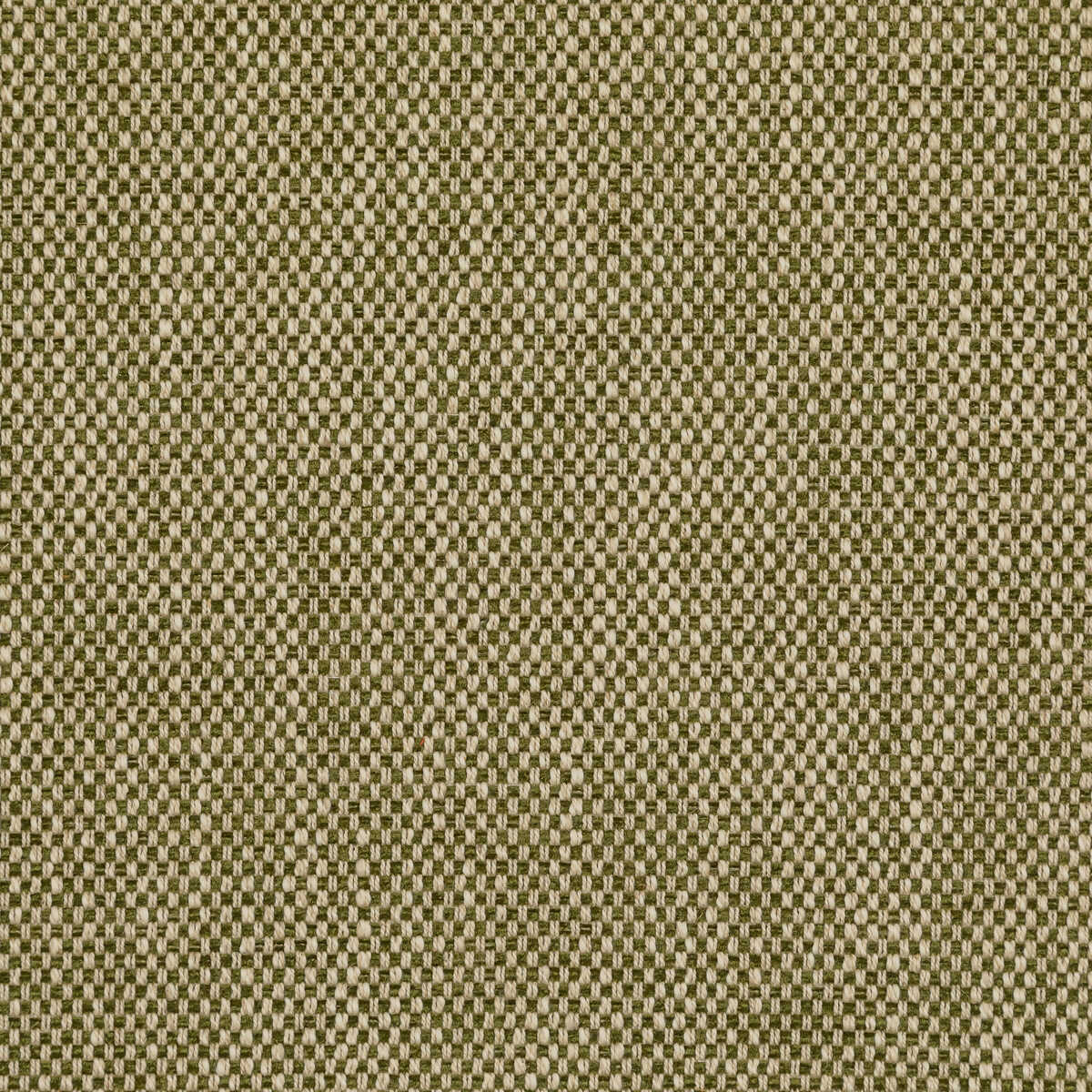 Carlton - Moss - LEE JOFA Fabric