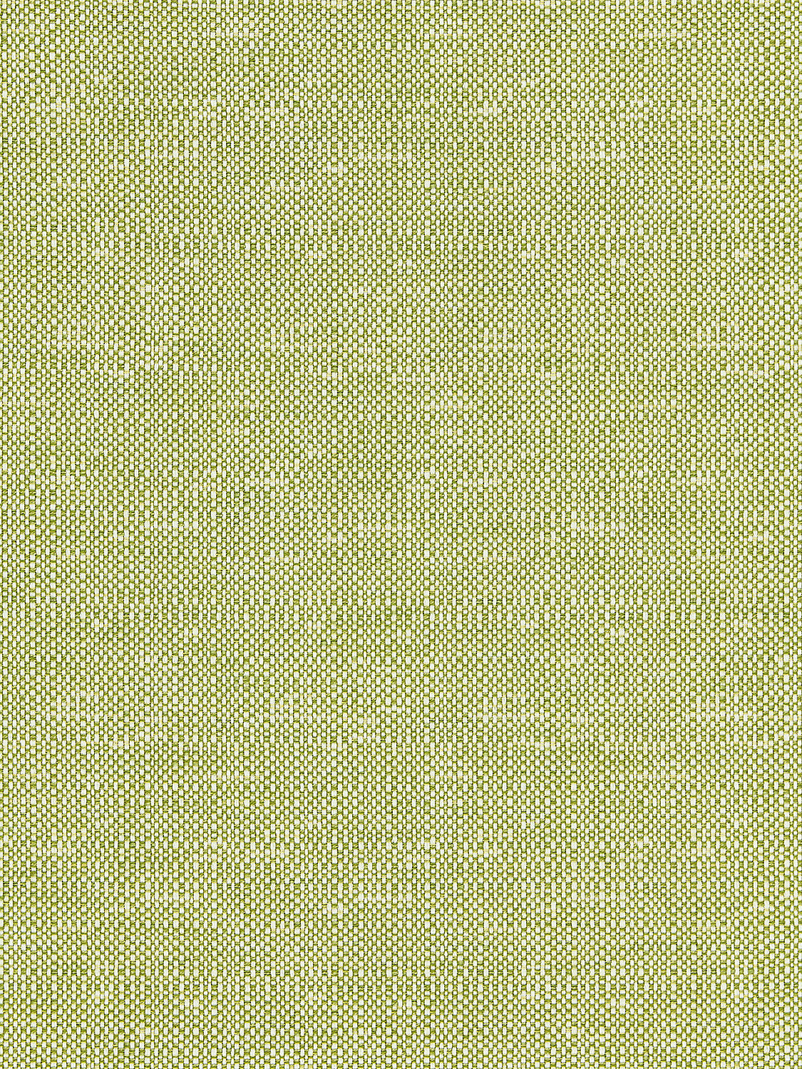 Chester Weave - Leaf - Scalamandre Fabric