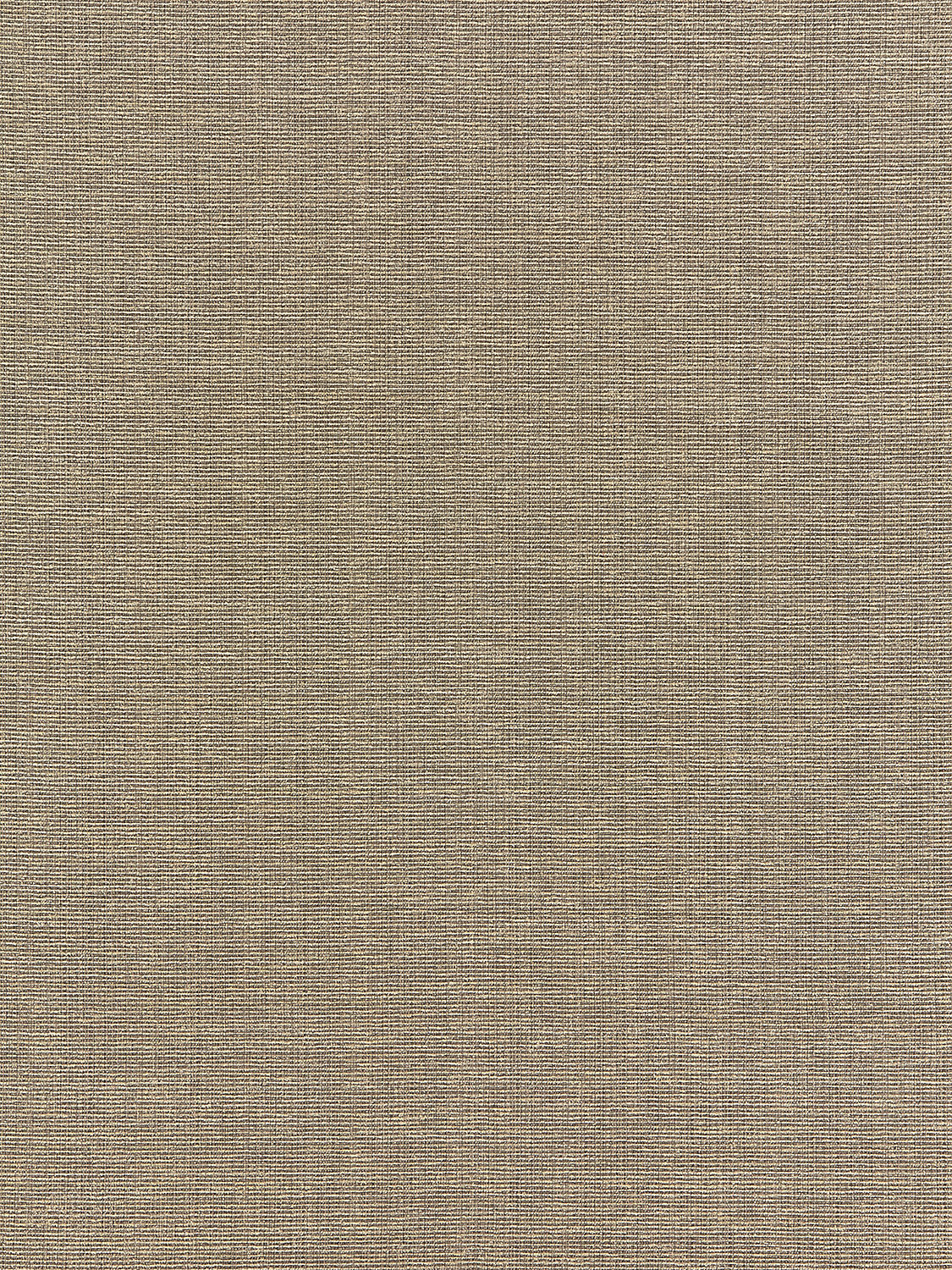 Thompson Chenille - Taupe - Scalamandre Fabric