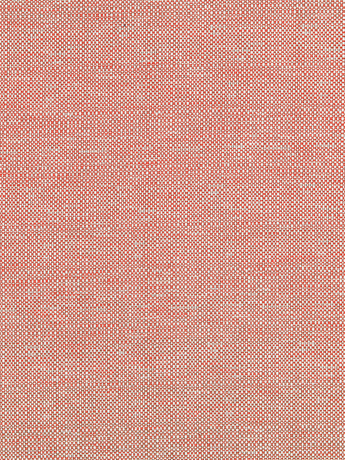 Chester Weave - Coral