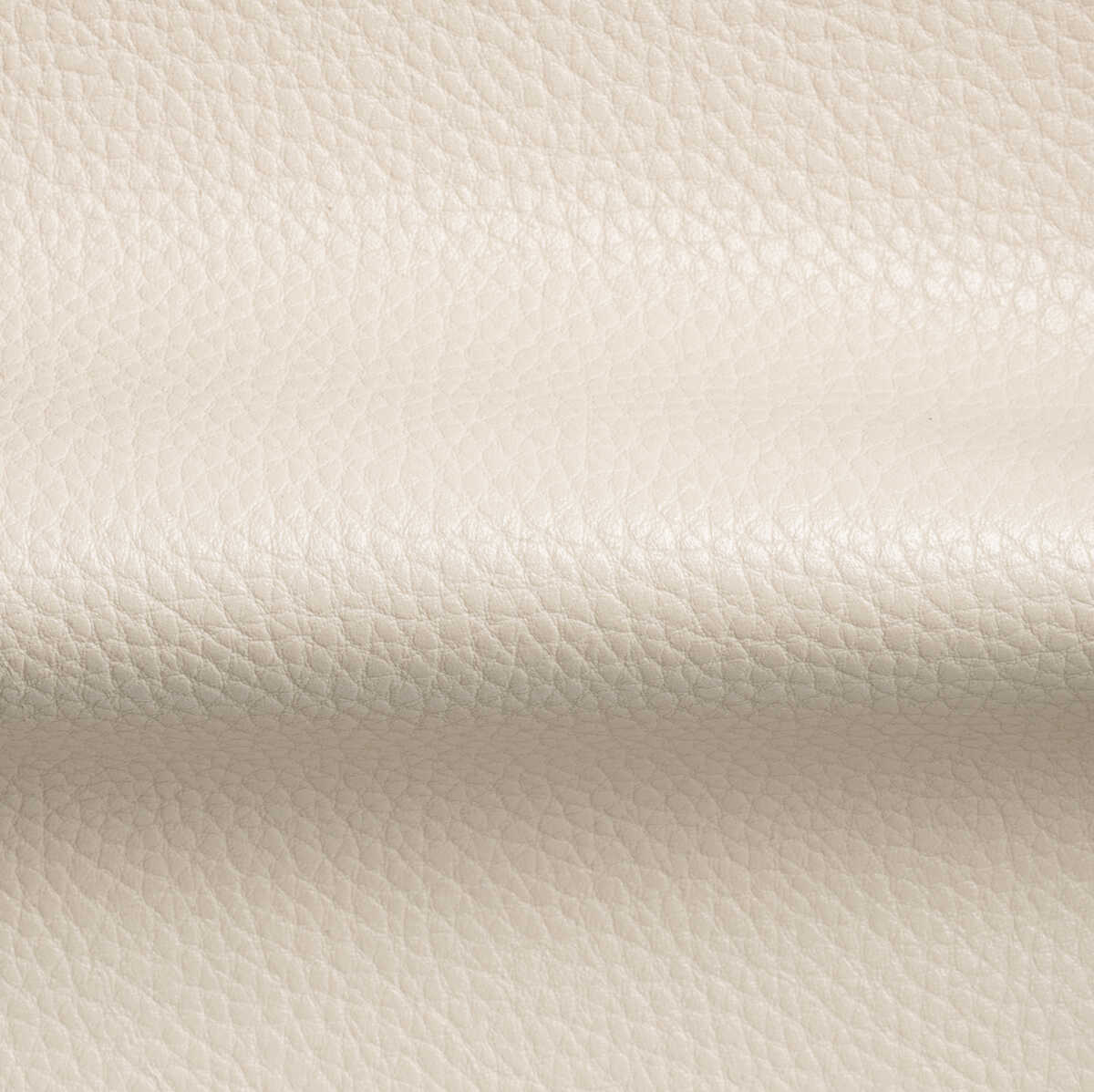 Boone - Conch - KRAVET CONTRACT Fabric