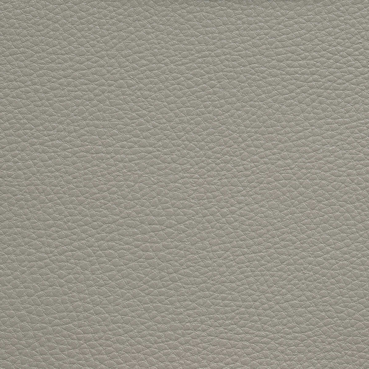 Boone - Chinchilla - KRAVET CONTRACT Fabric