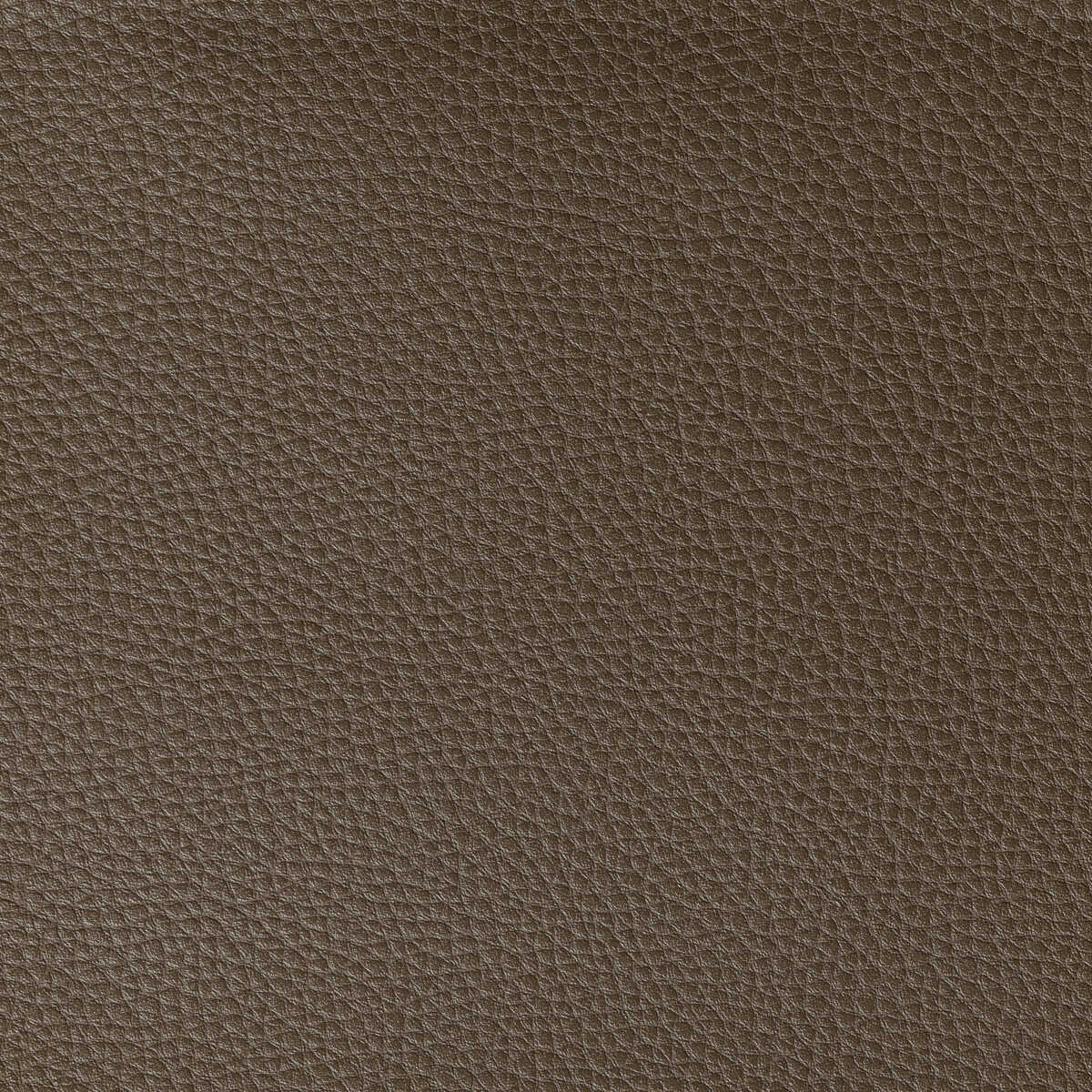 Boone - Cocoa - KRAVET CONTRACT Fabric