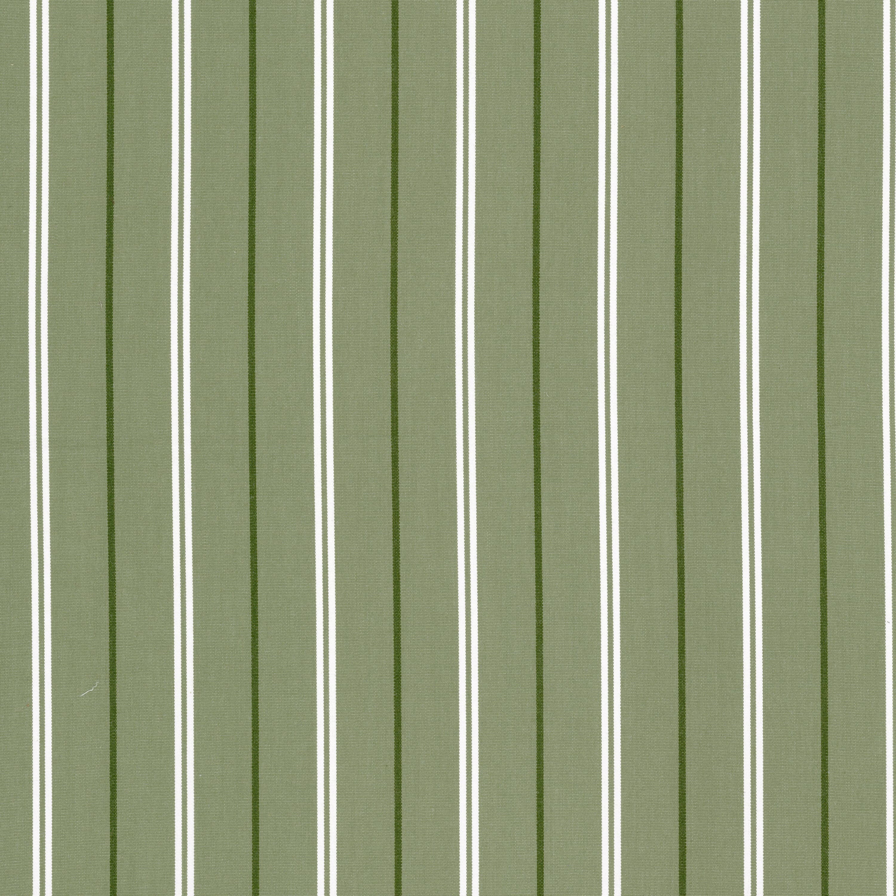 BORETTI-1-PISTACHIO-STOUT-TEXTILES