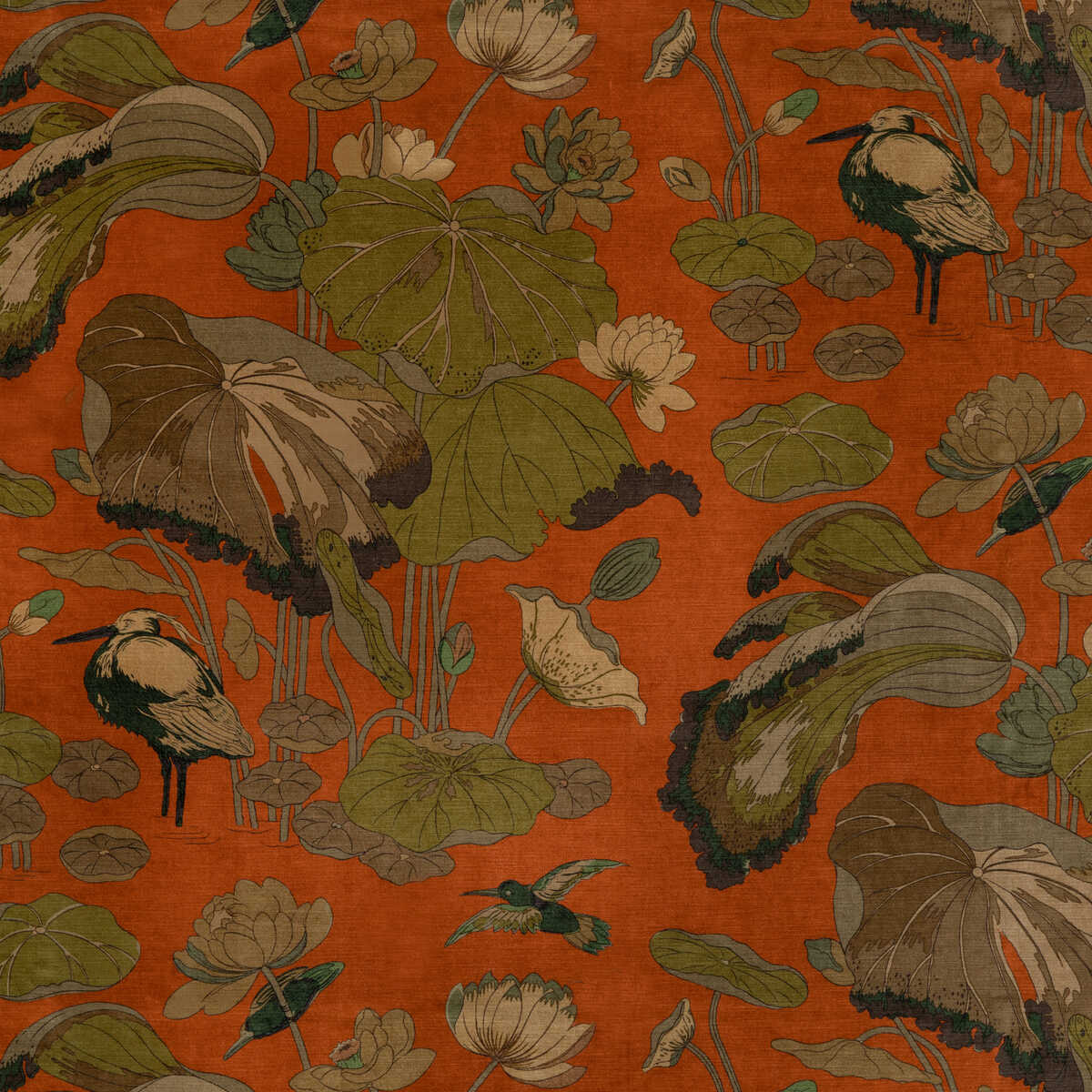 Nympheus Velvet - Spice - G P & J BAKER Fabric