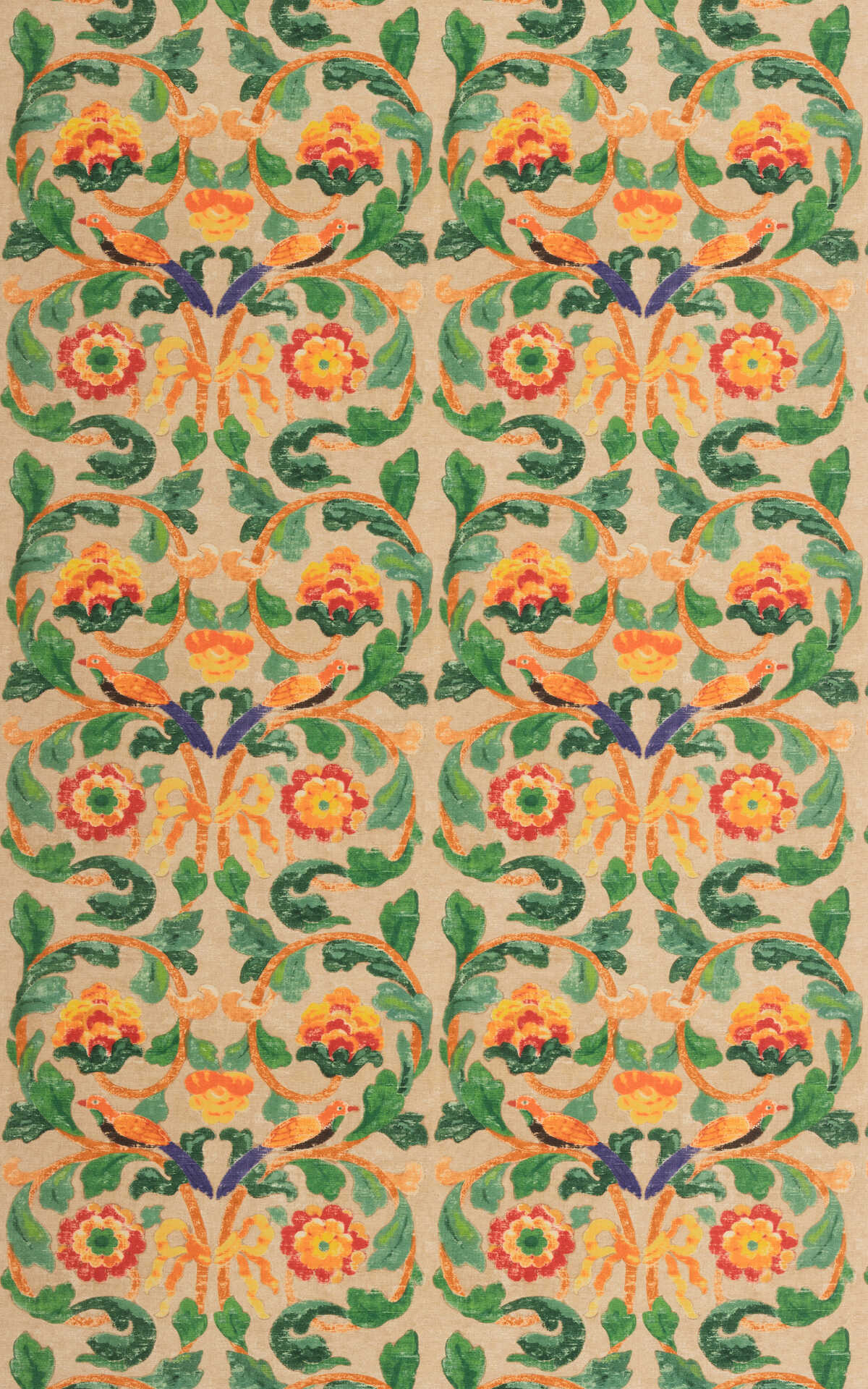 Tudor Rose - Clementine