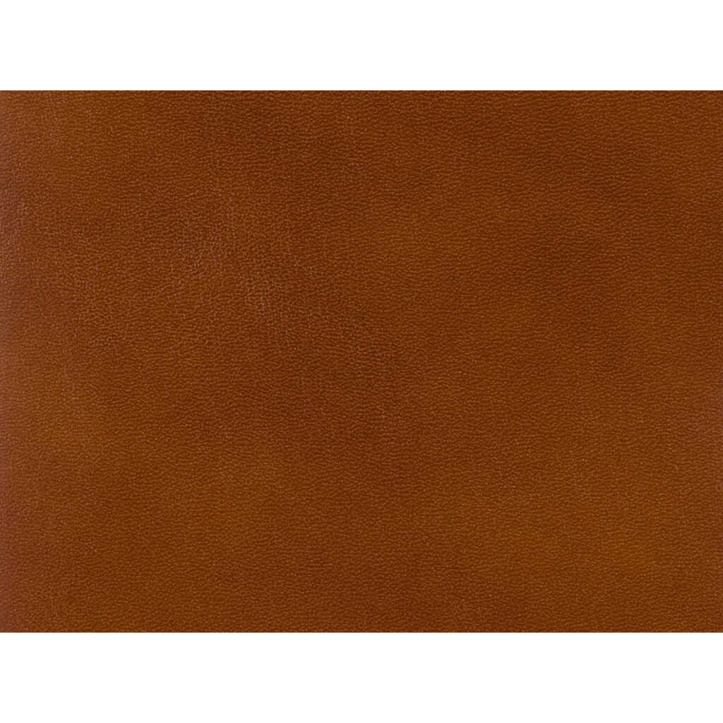 Old English Antiques Leather - Brandy - BRUNSCHWIG & FILS Fabric