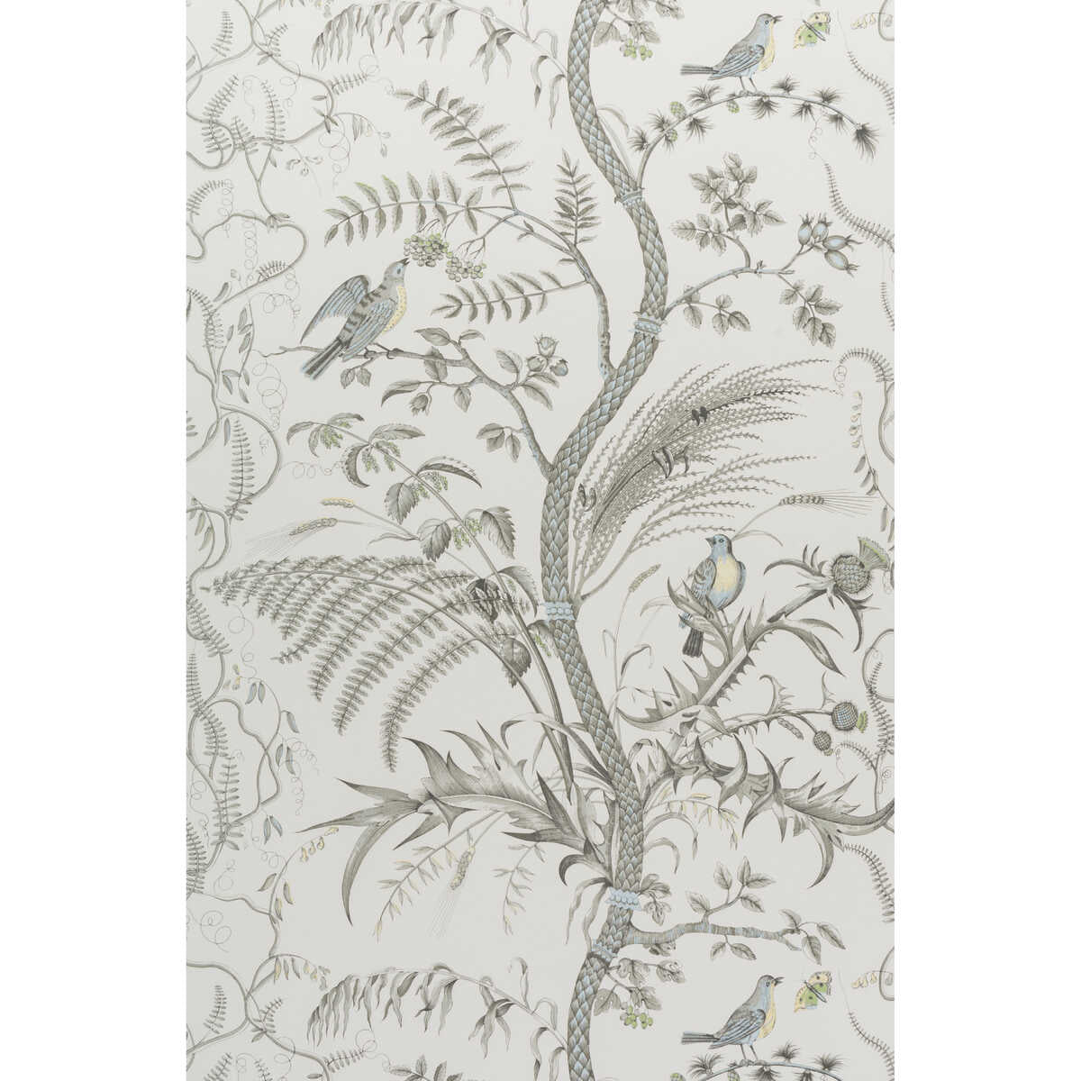 Bird And Thistle - Gray - BRUNSCHWIG & FILS Wallpaper