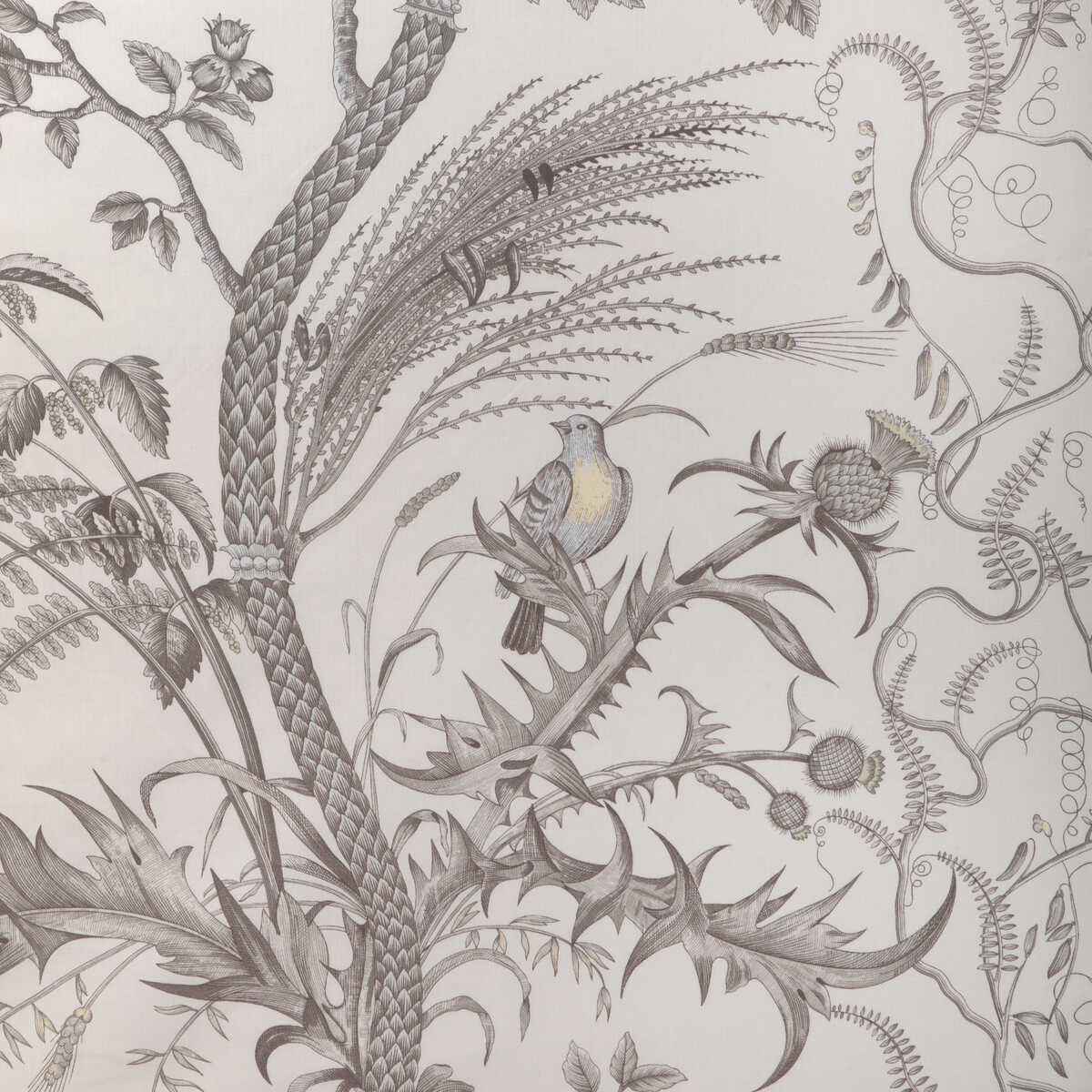Br79431110 Bird And Thistle Cotton Print Gray Brunschwig Fils Fabric