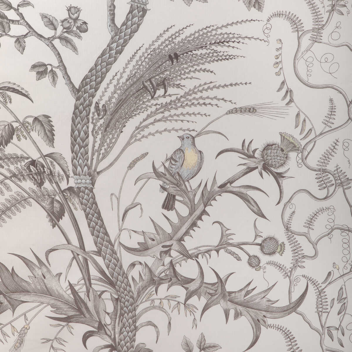 Bird And Thistle Cotton Print - Gray - BRUNSCHWIG & FILS Fabric