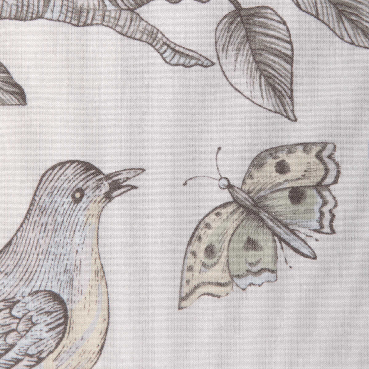 Bird And Thistle Cotton Print - Gray - BRUNSCHWIG & FILS Fabric