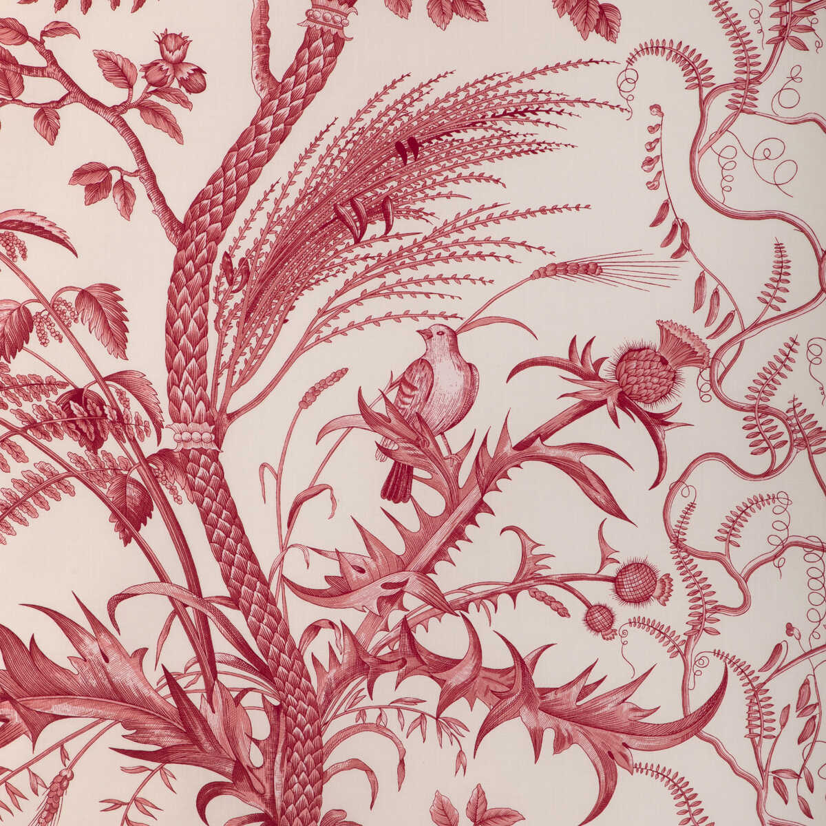 Bird And Thistle Cotton Print - Red - BRUNSCHWIG & FILS Fabric