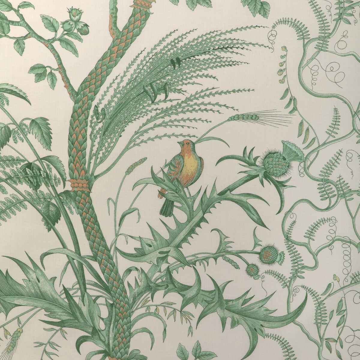 Br794314350 Bird And Thistle Cotton Print Green Brunschwig Fils Fabric